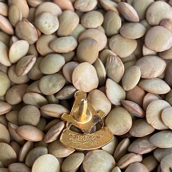 Masonic Temple 25 Years Service Sterling Silver with Diamonds Accent Lapel Pin - Picture 2 of 3